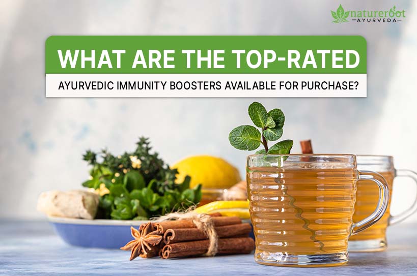 Top Ayurvedic Immunity Boosters of 2025: Nature’s Shield for Your Health
